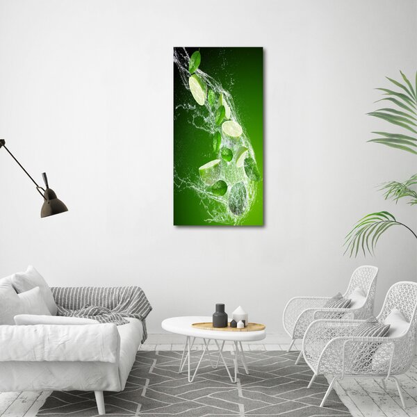 Vertikální Moderní obraz canvas na rámu Limetky ocv-85654366