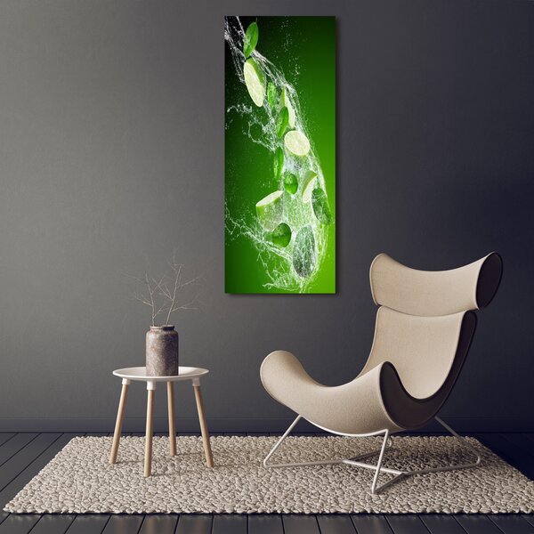 Vertikální Moderní obraz canvas na rámu Limetky ocv-85654366