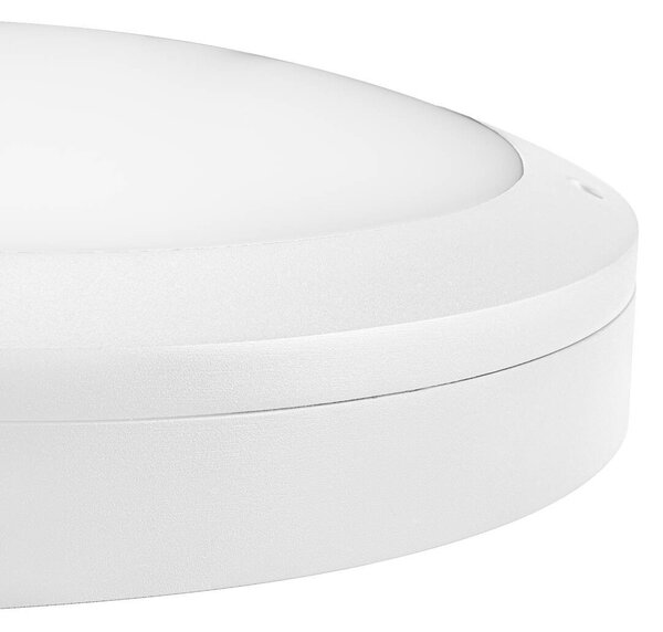 LA 1008833 OUTDOOR BULKHEAD V 360 20W 830/840/856 IP65 IK10 bílé - BIG WHITE (SLV)