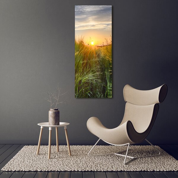 Vertikální Foto obraz canvas Pole pšenice ocv-86489340