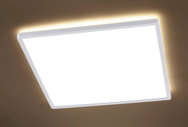 STROPNÍ LED SVÍTIDLO, 42/42/2,9 cm Novel - Stropní svítidla