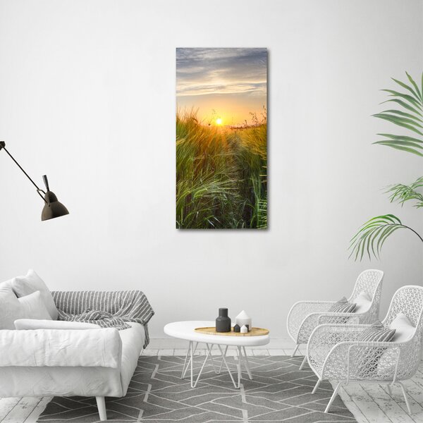 Vertikální Foto obraz canvas Pole pšenice ocv-86489340
