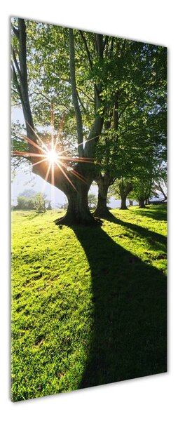 Vertikální Moderní foto obraz na stěnu Park osv-87151652