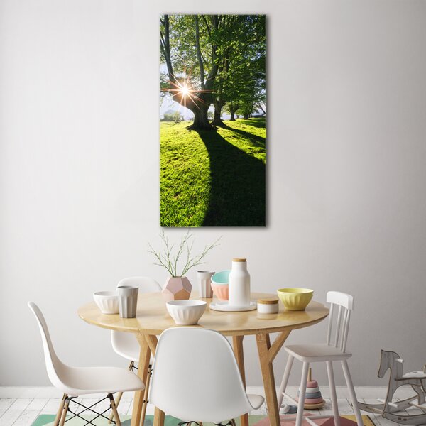 Vertikální Moderní foto obraz na stěnu Park osv-87151652