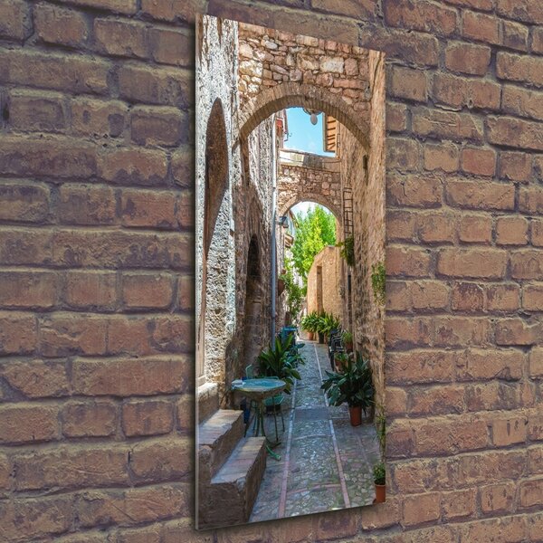 Vertikální Fotoobraz na skle Italské uličky osv-87545336