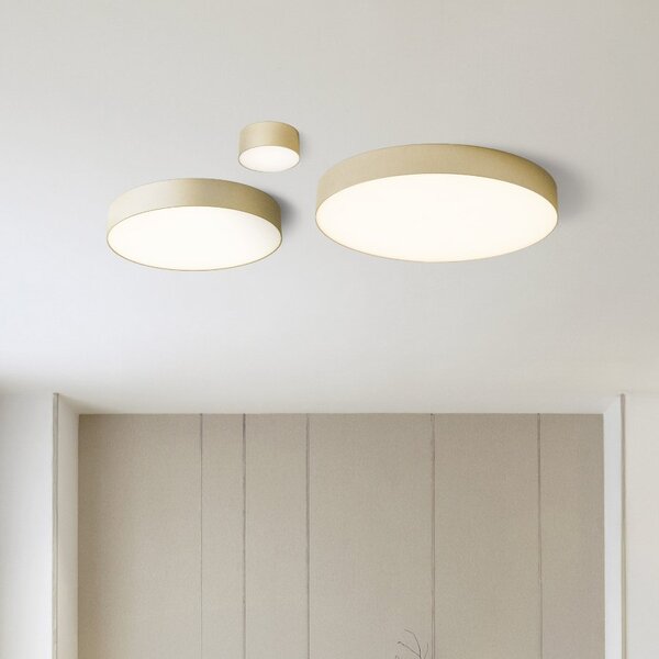 LARISA LED přisazené svítidlo, technická perleťová zlatá - RED - DESIGN RENDL