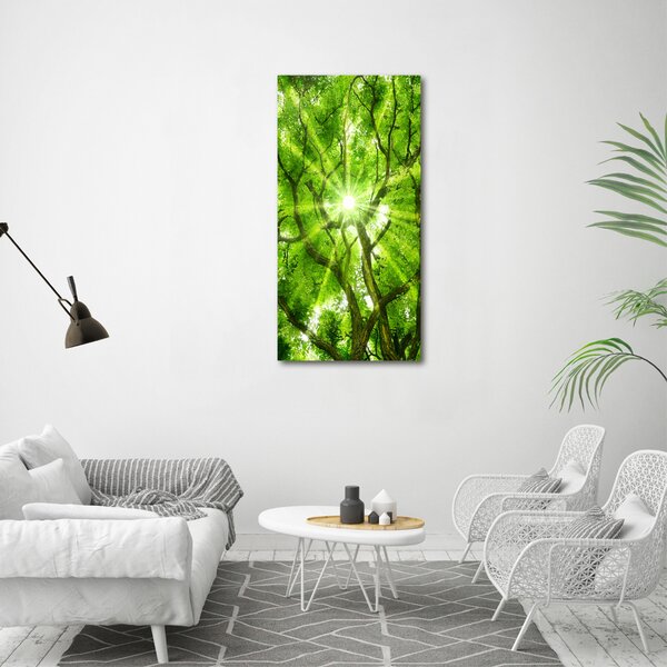 Vertikální Foto obraz canvas Koruna stromů ocv-88048768