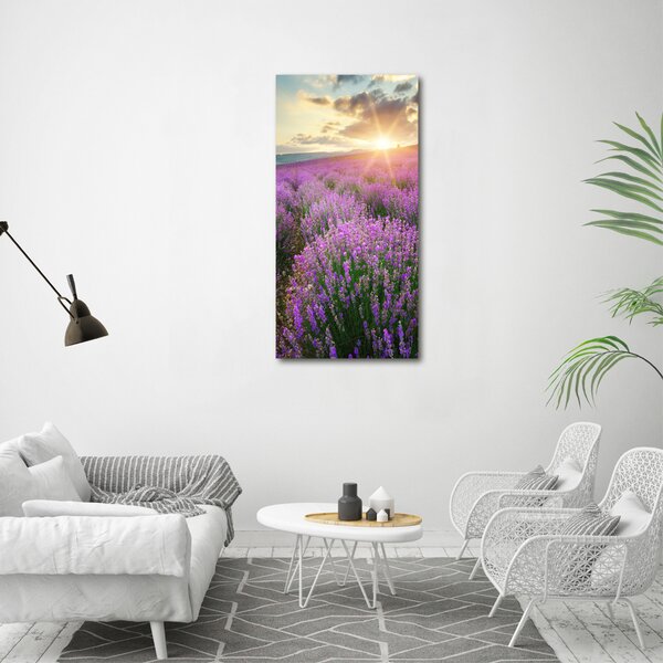 Vertikální Foto obraz canvas Pole levandule ocv-88269062