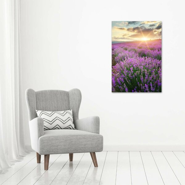 Vertikální Foto obraz canvas Pole levandule ocv-88269062