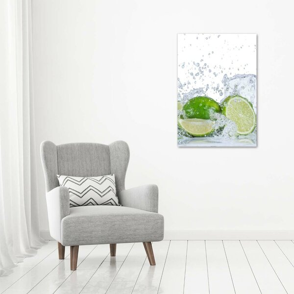 Vertikální Moderní obraz canvas na rámu Limetky ocv-88385364
