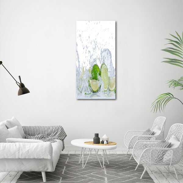 Vertikální Moderní obraz canvas na rámu Limetky ocv-88385364