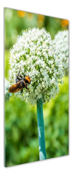 Vertikální Foto obraz fotografie na skle Květy česneku osv-88554833