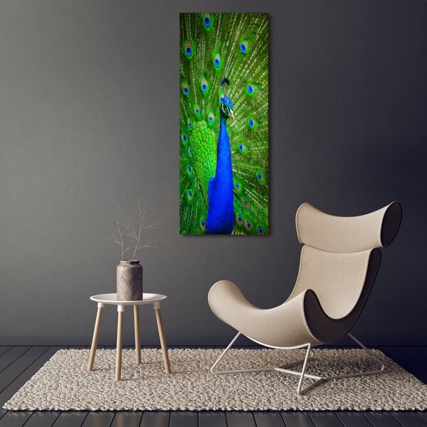 Vertikální Foto obraz canvas Páv ocv-88874077
