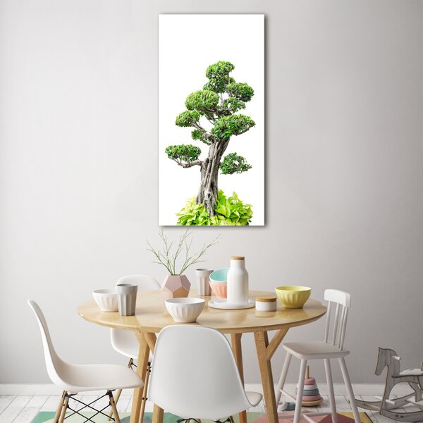 Vertikální Foto obraz sklo tvrzené Bonsai osv-88907159