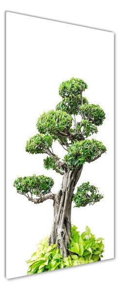 Vertikální Foto obraz sklo tvrzené Bonsai osv-88907159