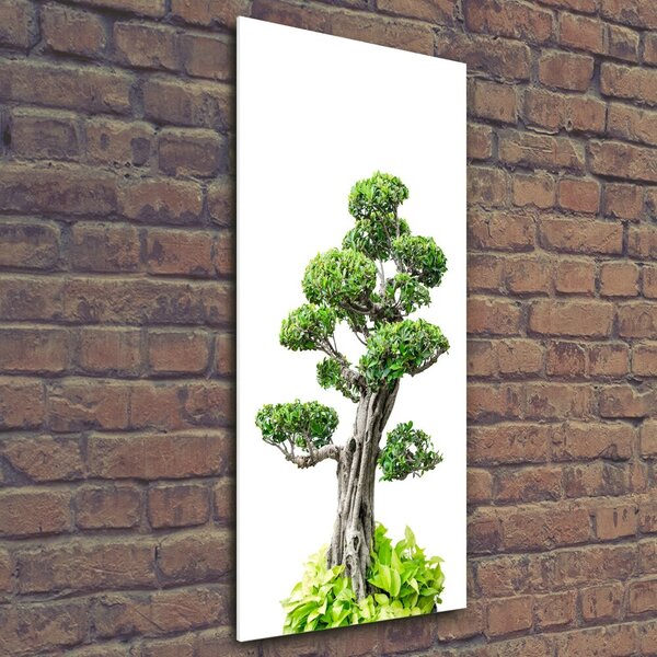 Vertikální Foto obraz sklo tvrzené Bonsai osv-88907159