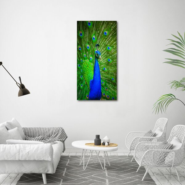 Vertikální Foto obraz canvas Páv ocv-88874077