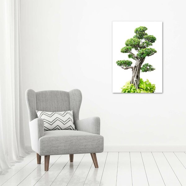 Vertikální Foto obraz na plátně Bonsai ocv-88907159