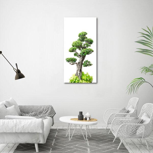 Vertikální Foto obraz na plátně Bonsai ocv-88907159