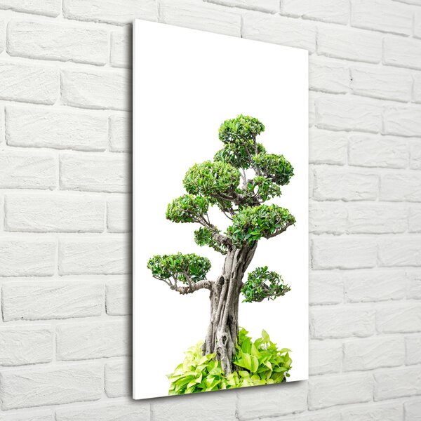 Vertikální Foto obraz sklo tvrzené Bonsai osv-88907159