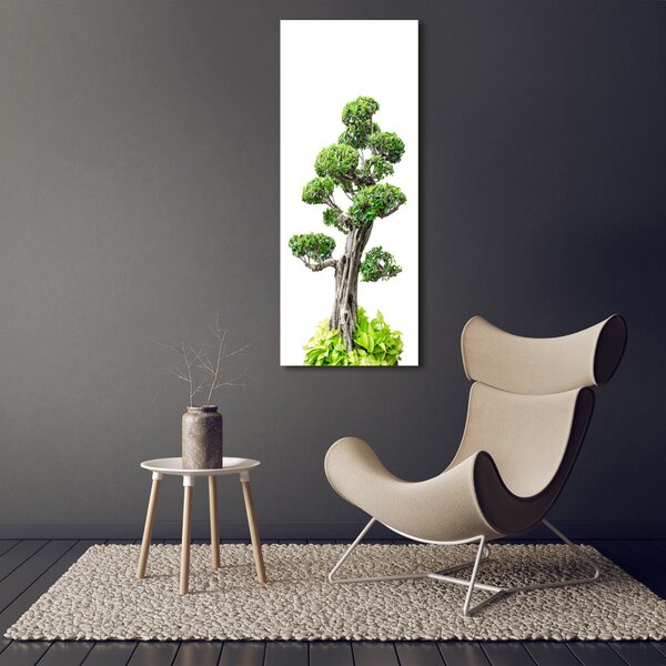Vertikální Foto obraz na plátně Bonsai ocv-88907159