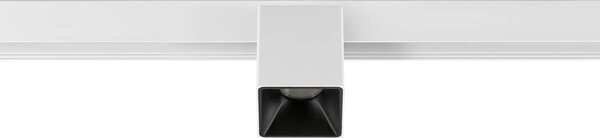 LA 1008989 FIX-IT! 48 V, DALI, úhlové, povrchová montáž, bodové, 2000-3000 K, 7,4 W, 36°, bílé / černé - BIG WHITE (SLV)