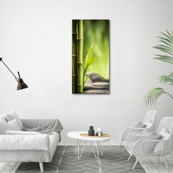 Vertikální Moderní fotoobraz canvas na rámu Bambus ocv-89101727