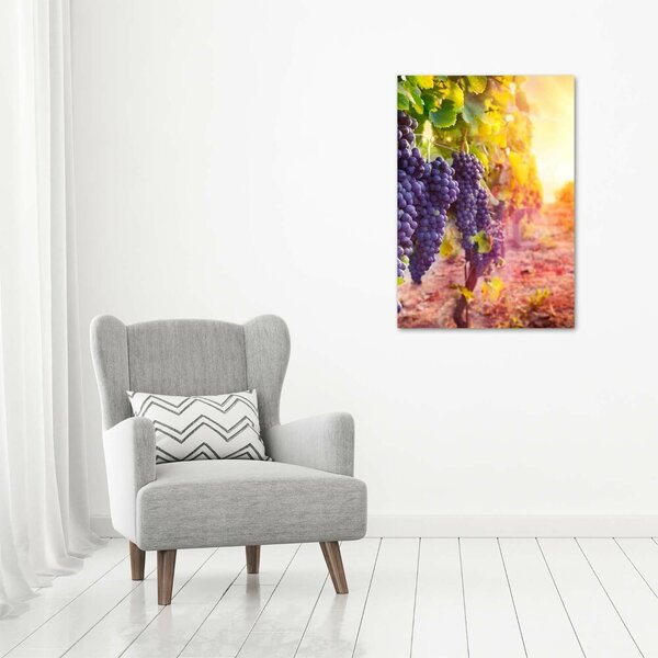 Vertikální Moderní obraz canvas na rámu Vinice ocv-89292664