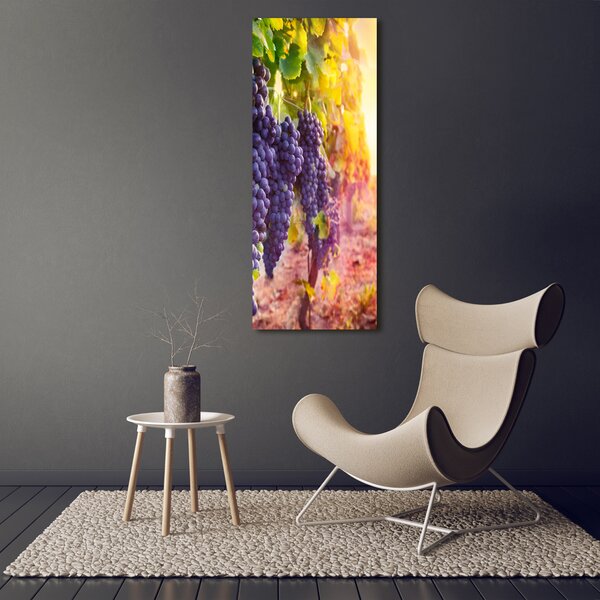 Vertikální Moderní obraz canvas na rámu Vinice ocv-89292664