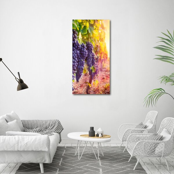 Vertikální Moderní obraz canvas na rámu Vinice ocv-89292664