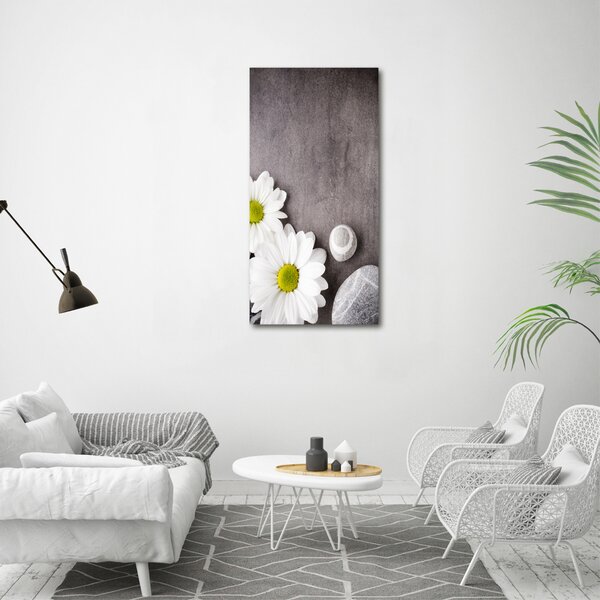 Vertikální Moderní obraz canvas na rámu Gerbera ocv-89978317