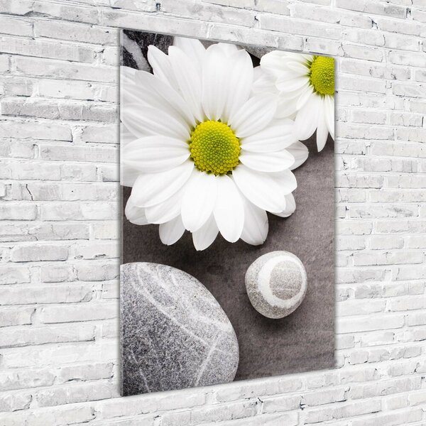 Vertikální Foto-obraz fotografie na skle Gerbera osv-89978317