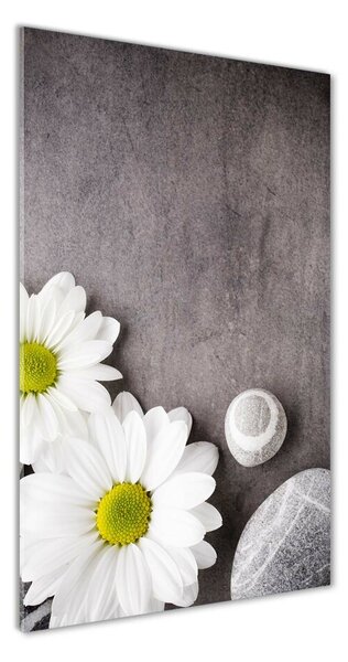 Vertikální Foto-obraz fotografie na skle Gerbera osv-89978317