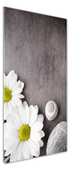 Vertikální Foto-obraz fotografie na skle Gerbera osv-89978317