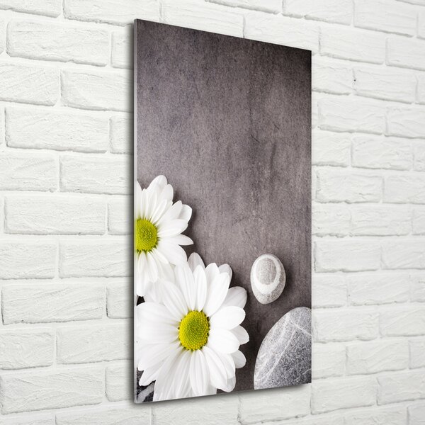 Vertikální Foto-obraz fotografie na skle Gerbera osv-89978317