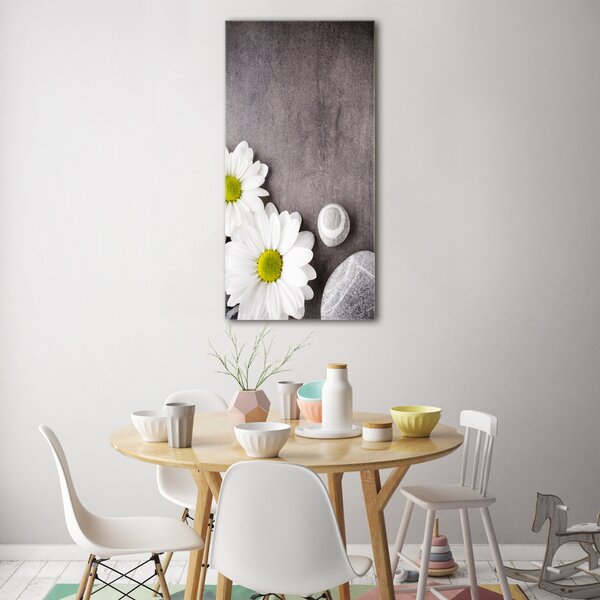 Vertikální Foto-obraz fotografie na skle Gerbera osv-89978317