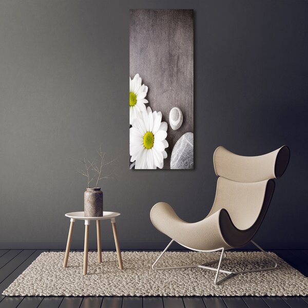 Vertikální Moderní obraz canvas na rámu Gerbera ocv-89978317