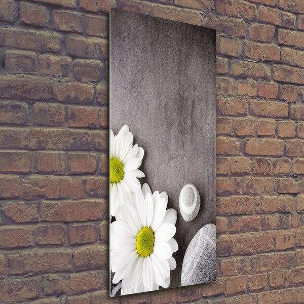 Vertikální Foto-obraz fotografie na skle Gerbera osv-89978317