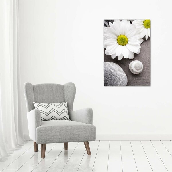 Vertikální Moderní obraz canvas na rámu Gerbera ocv-89978317