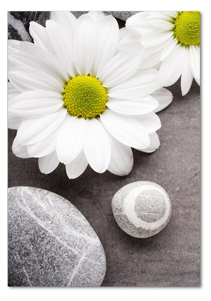 Vertikální Foto-obraz fotografie na skle Gerbera osv-89978317