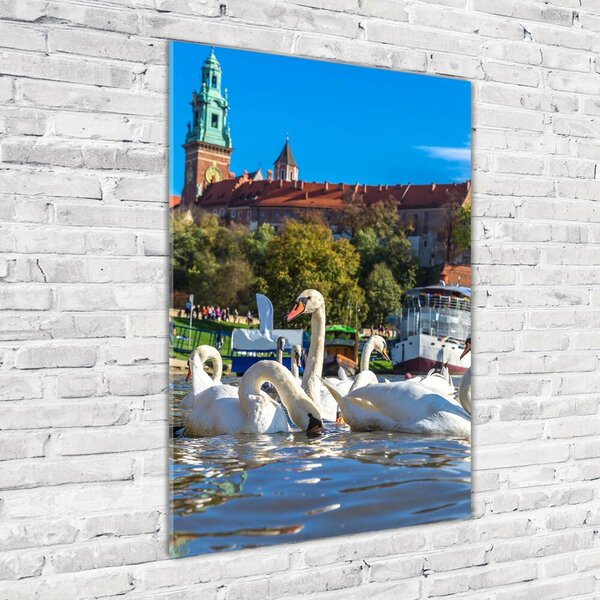 Vertikální Foto obraz sklo tvrzené Krakov Polsko osv-90084341