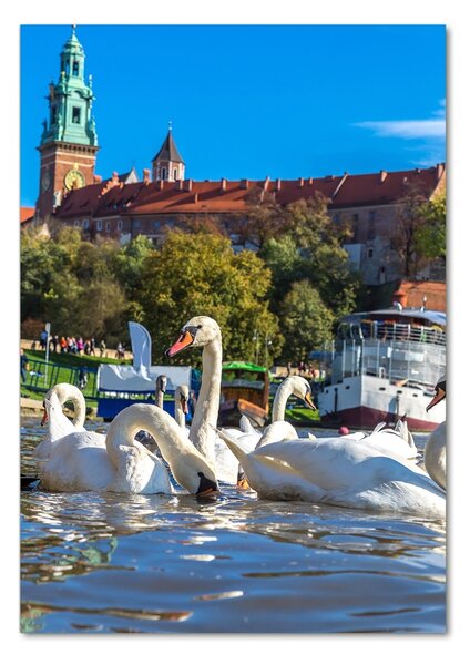 Vertikální Foto obraz sklo tvrzené Krakov Polsko osv-90084341
