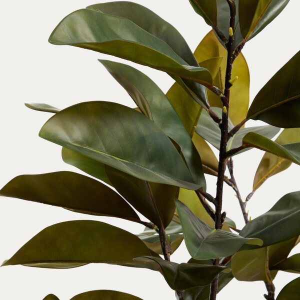 Kave Home Umělá rostlina Magnolia 160 cm