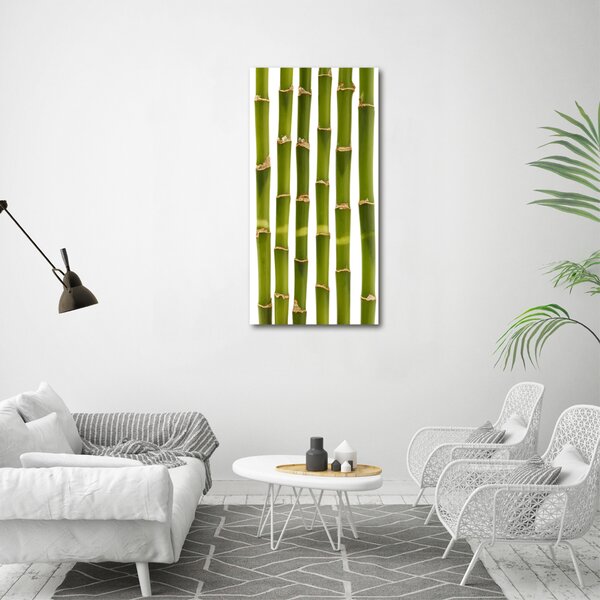 Vertikální Moderní fotoobraz canvas na rámu Bambus ocv-90591084