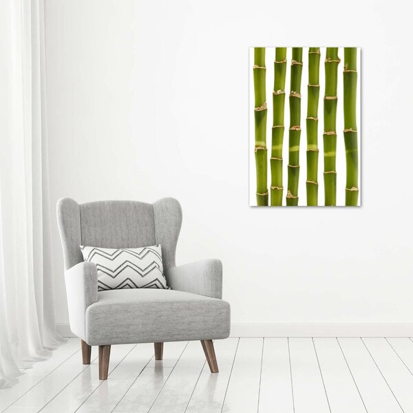Vertikální Moderní fotoobraz canvas na rámu Bambus ocv-90591084