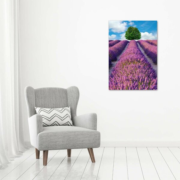 Vertikální Foto obraz canvas Pole levandule ocv-90850867