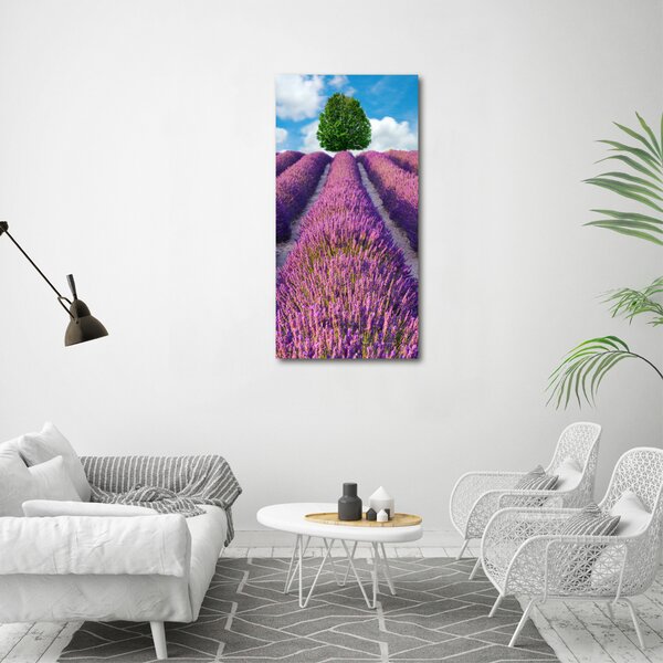Vertikální Foto obraz canvas Pole levandule ocv-90850867