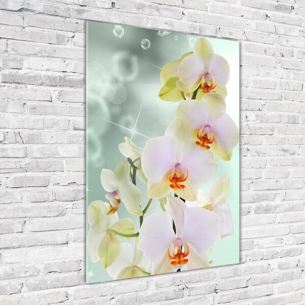 Vertikální Foto-obrah sklo tvrzené Orchidej osv-91133337