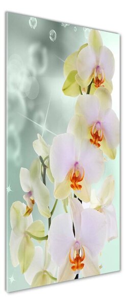 Vertikální Foto-obrah sklo tvrzené Orchidej osv-91133337