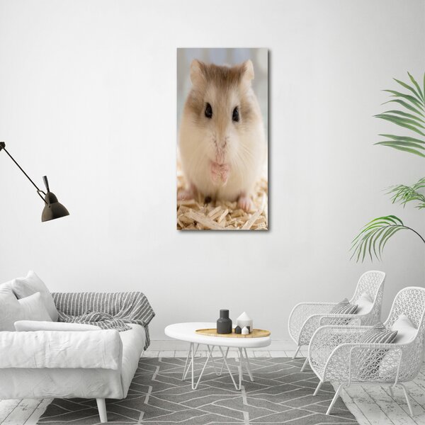 Vertikální Moderní fotoobraz canvas na rámu Křeček ocv-91045561